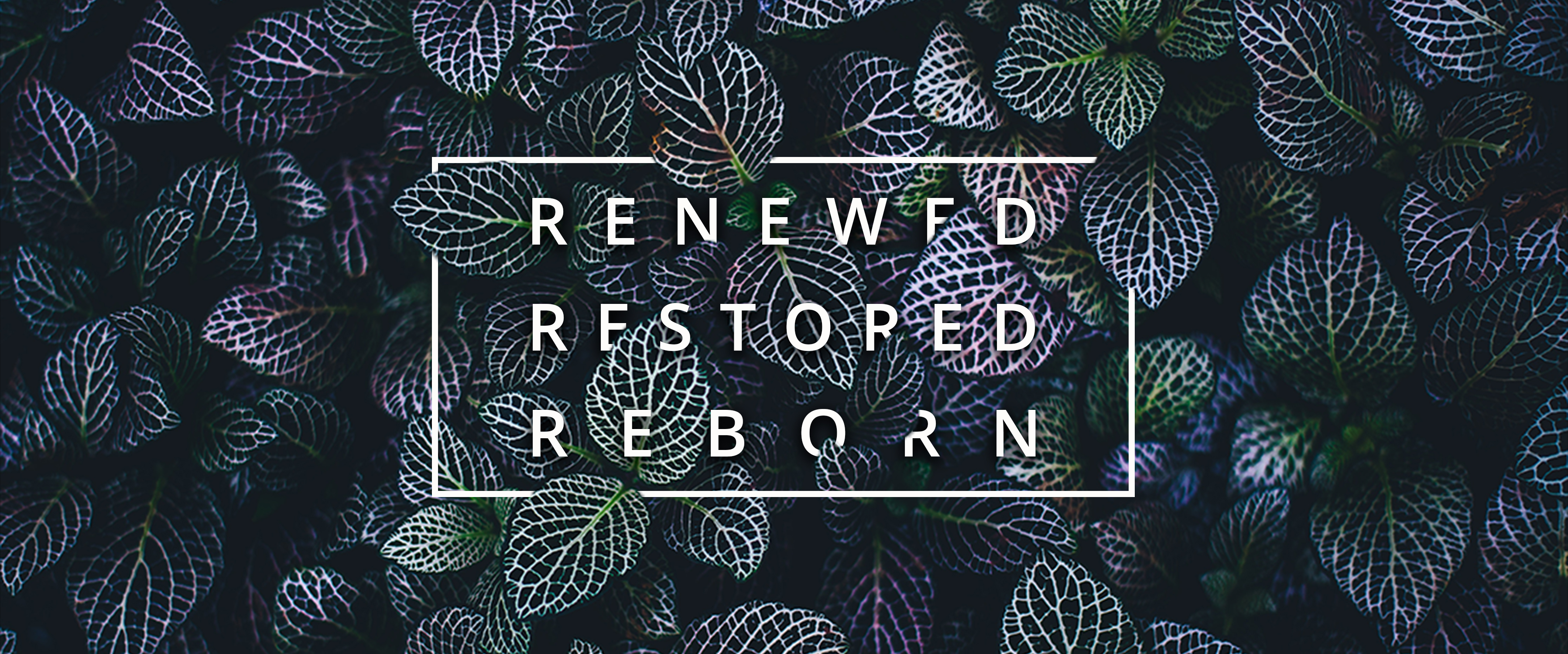 Renewed, Restored, Reborn